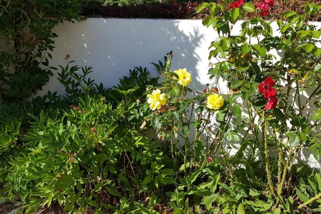 Le Clos De Chacha Villa Carly Buitenkant foto